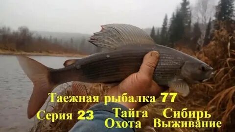 Сибирь охота и рыбалка жизнь в тайге