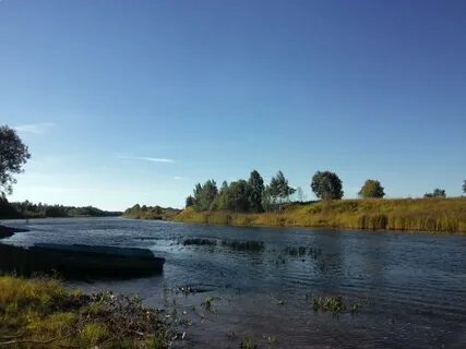 Погода районе назия в кировском районе