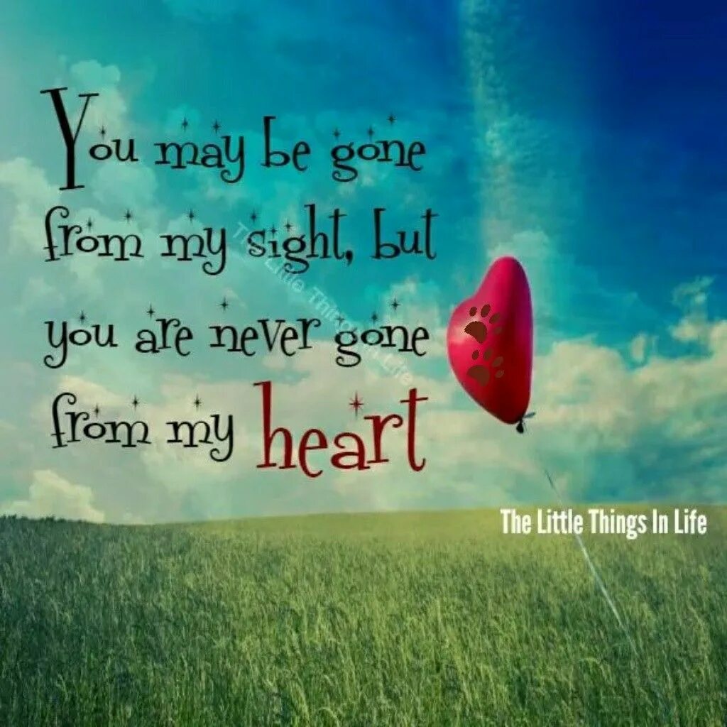 You are never go. Gone from my sight but never from my heart. love the little things in life. from my heart. the sight of you.