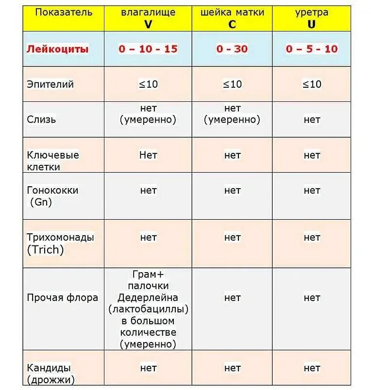 Микроскопическое исследование мазка на флору. Лейкоциты в гинекологическом мазке норма. лейкоциты в мазке у женщин норма. гинекологический мазок лейкоциты норма. мазок микроскопическое исследование норма лейкоцитов.