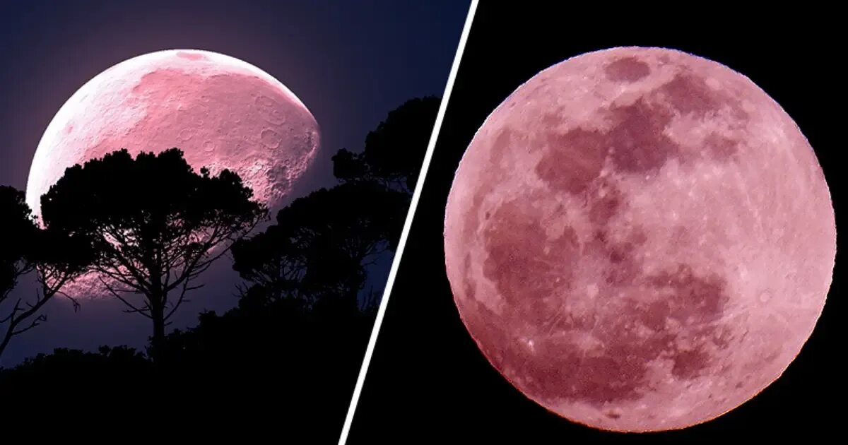 Есть розовая луна. Розовая Луна. Розовая Луна 2021. Полнолуние розовая Луна. Клубничное полнолуние.