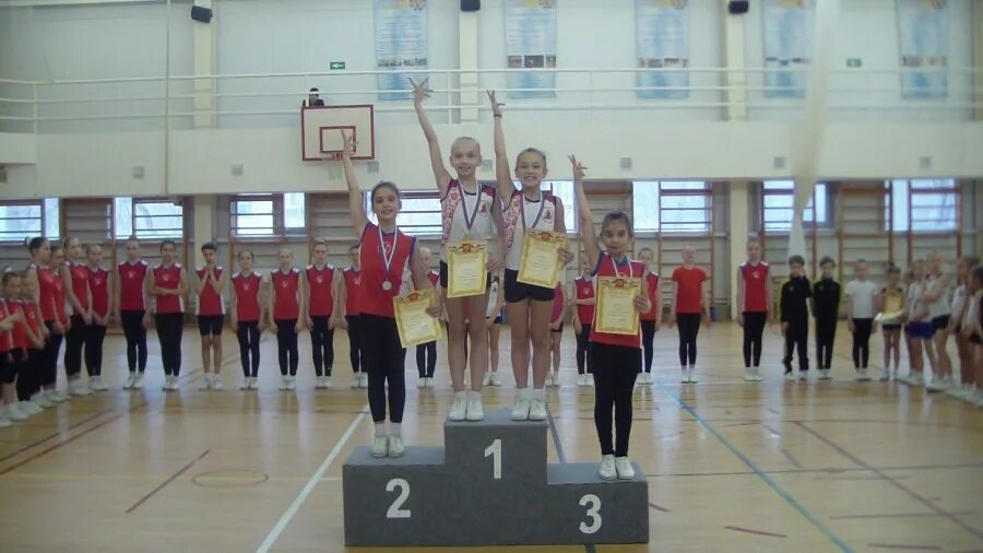 Спортшкола юность калуга. Росток екатеринбург большакова. Мышкин баскетбол. Арти дюсш. Дюсш № 3 им.