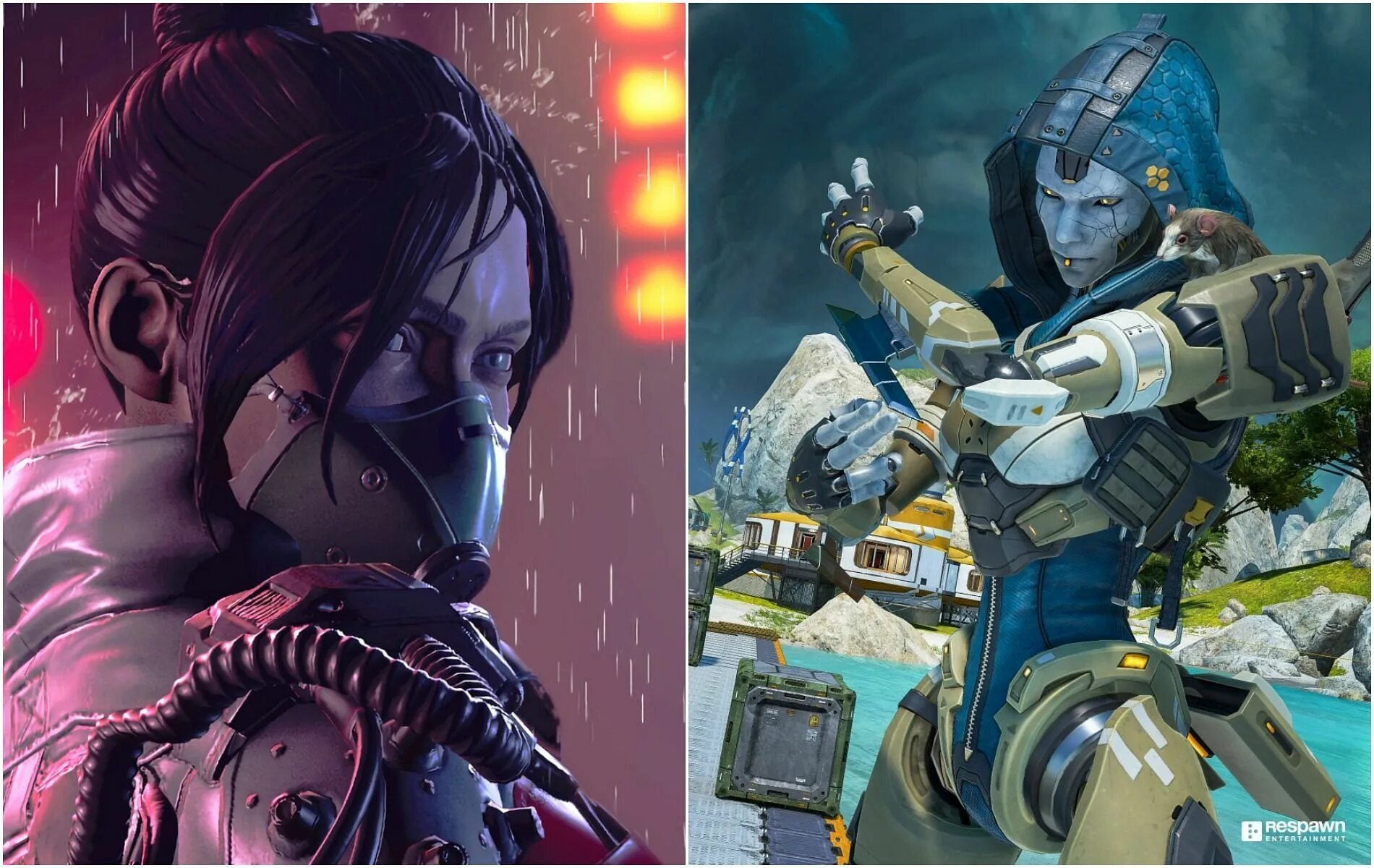 Apex v. Эш apex legends. apex legends эш арт. эш с крысой apex legends. apex legends эш stinger.