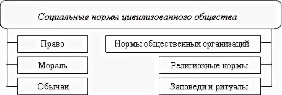 Признаки культурных норм