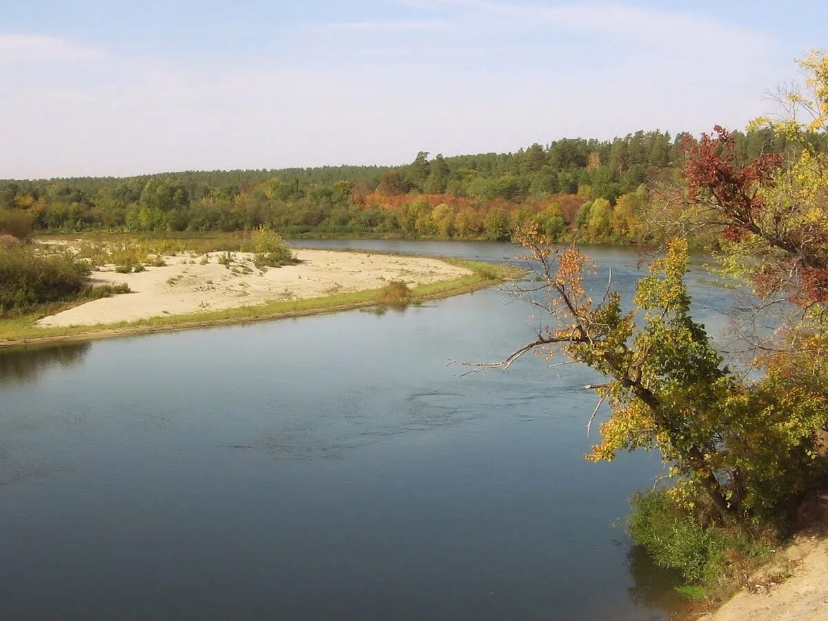 Вода в реке сура. Река Сура в Мордовии. Река Мокша в Мордовии. Река Сура в Пензенской области. Река Мокша и Сура.