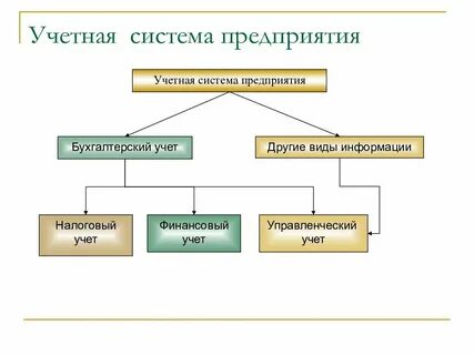 Система финансового учета виды