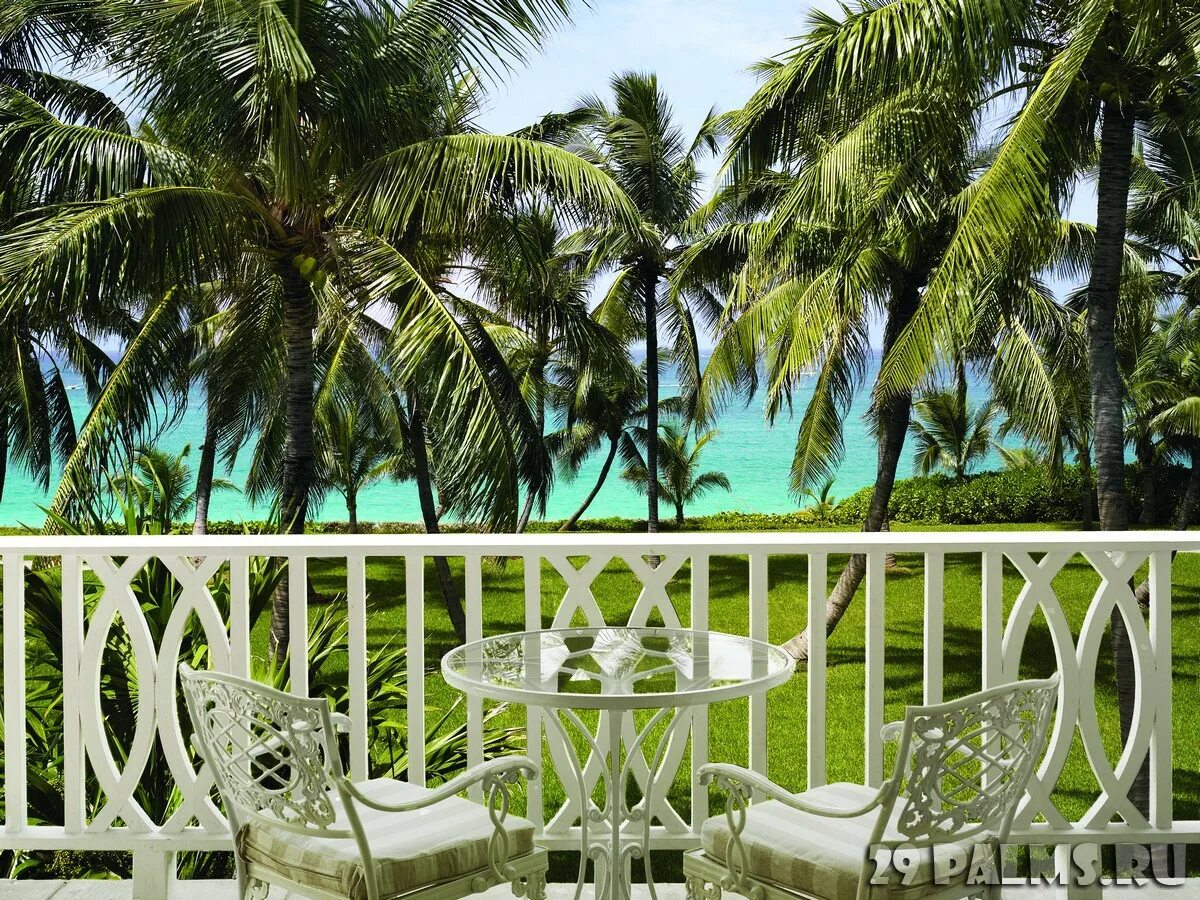 Only ocean. Багамы клуб. one and only на багамских островах номера. tropical paradise.