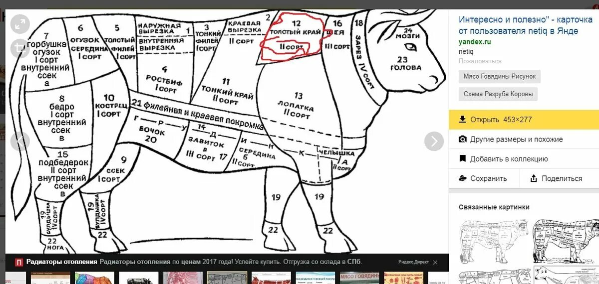 Вырезка говяжья схема туши. Говяжья вырезка какая часть. Говядина схема разруба говяжьей туши. Разделка туши говядины схема. Мясо говядина разделка туши.