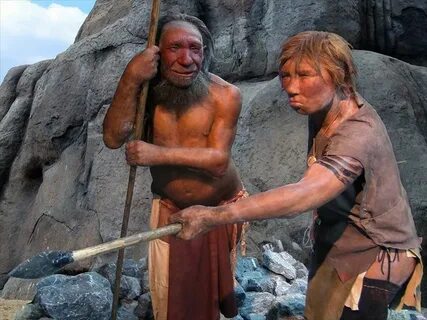 Жизнь человека википедия