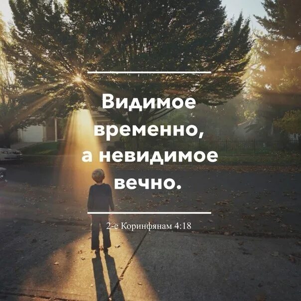 Как научиться видеть видения. Видеть невидимое. Картинки видимое и невидимое. Зерновая сделка. Видеть невидимое.