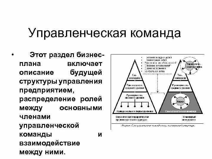 Взаимодействие уровней управления. Управленческая команда. Виды управленческих команд. Формы управления командой. Описание управленческой команды.