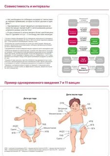 Интервал между прививкой и введением иммуноглобулина