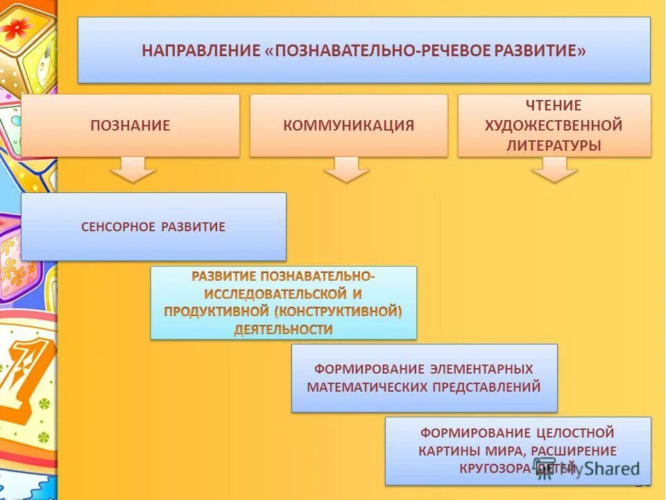 Формы познавательного направления. Формы познавательного направления