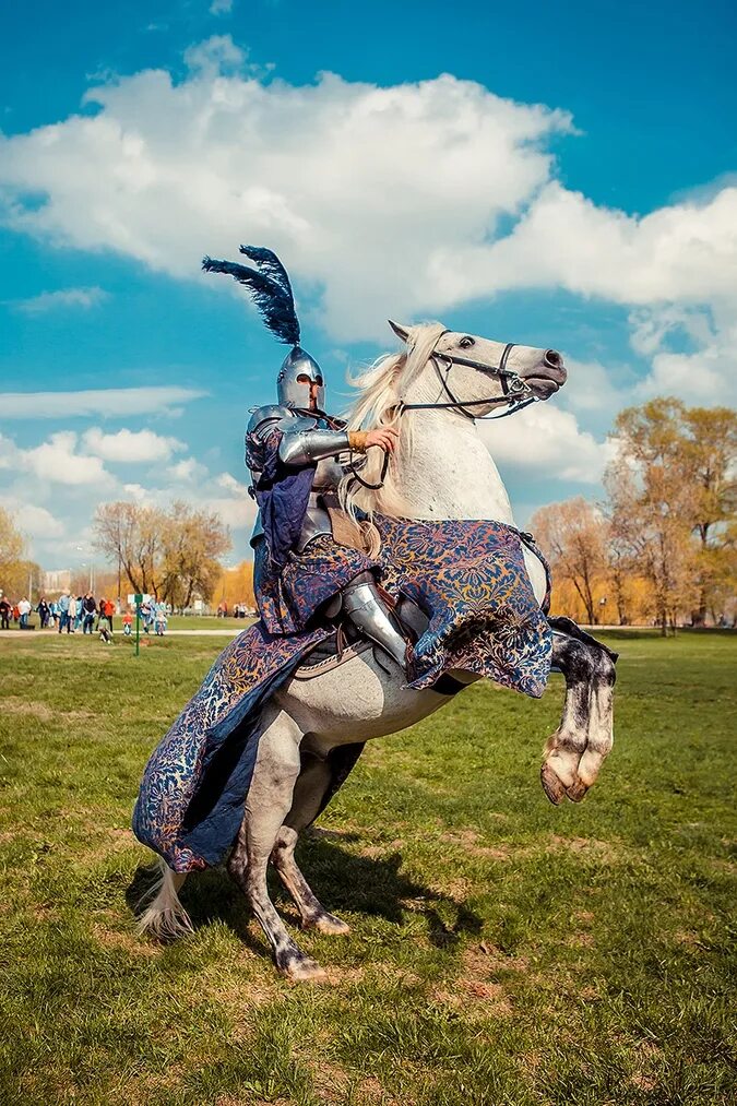 Доспехи на коне. Доспехи лошади средневековья. Рыцарская лошадь. Рыцарский конь в доспехах. Рыцари на конях.