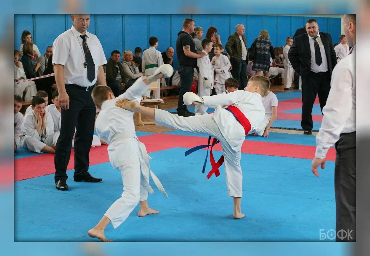 единоборства юбилейный. мма подольск. клуб единоборств antey. феникс смешанное единоборство иркутск. клуб единоборств крепость.