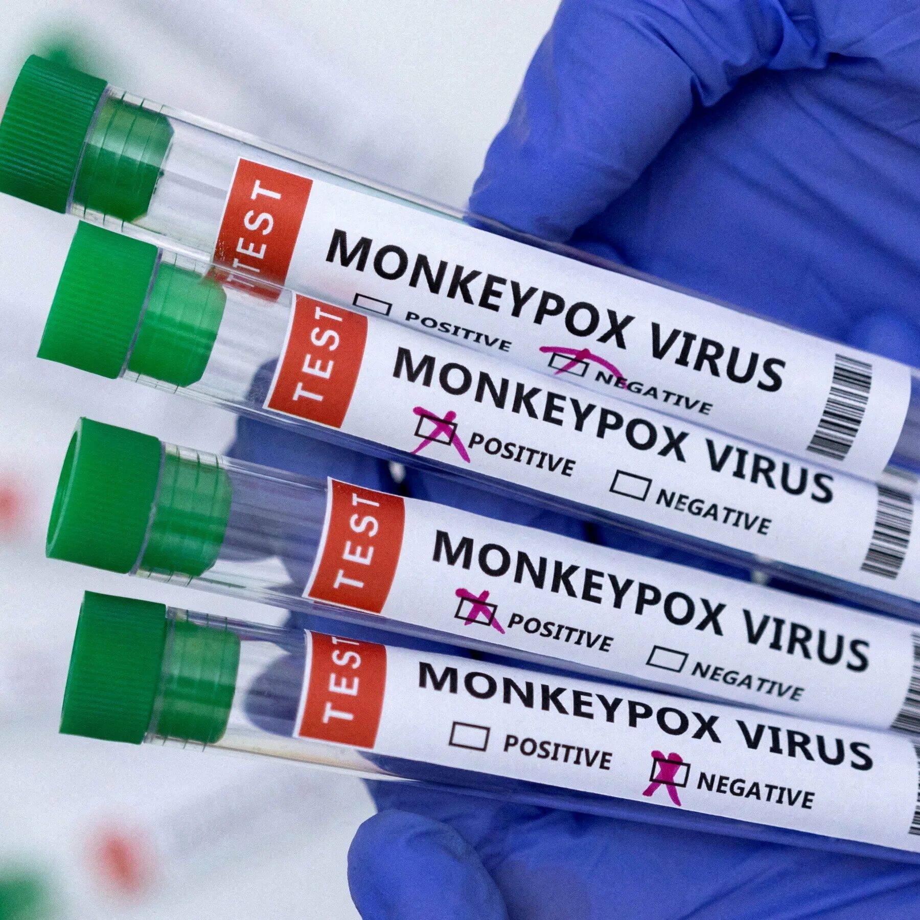 Mpox test