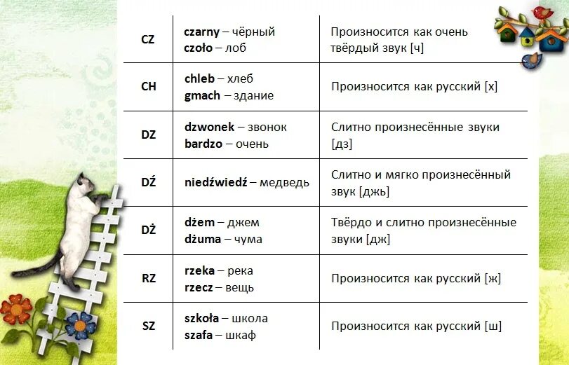 Польский текст в 1. Сочетания букв в польском языке. Польские сочетания букв. Буквенные сочетания в польском языке. Звуки в польском языке.