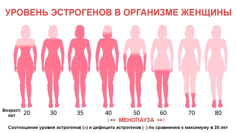 Менопауза возраст норма. Уровень эстрогена. Женщины разных возрастов. Уровень эстрогена у женщин с возрастом. Снижение уровня эстрогенов.