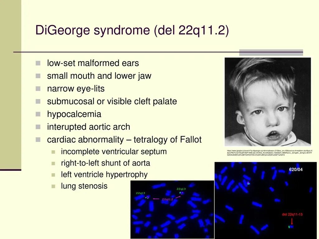 Database image is malformed