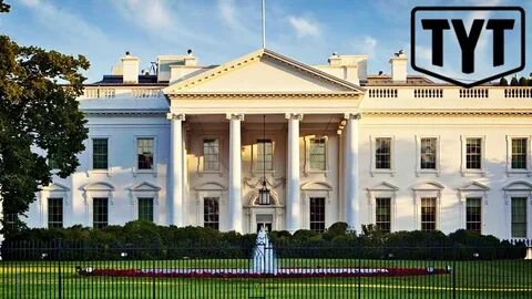 Белый цвет в сша