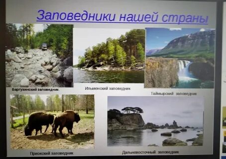 Назовите заповедник