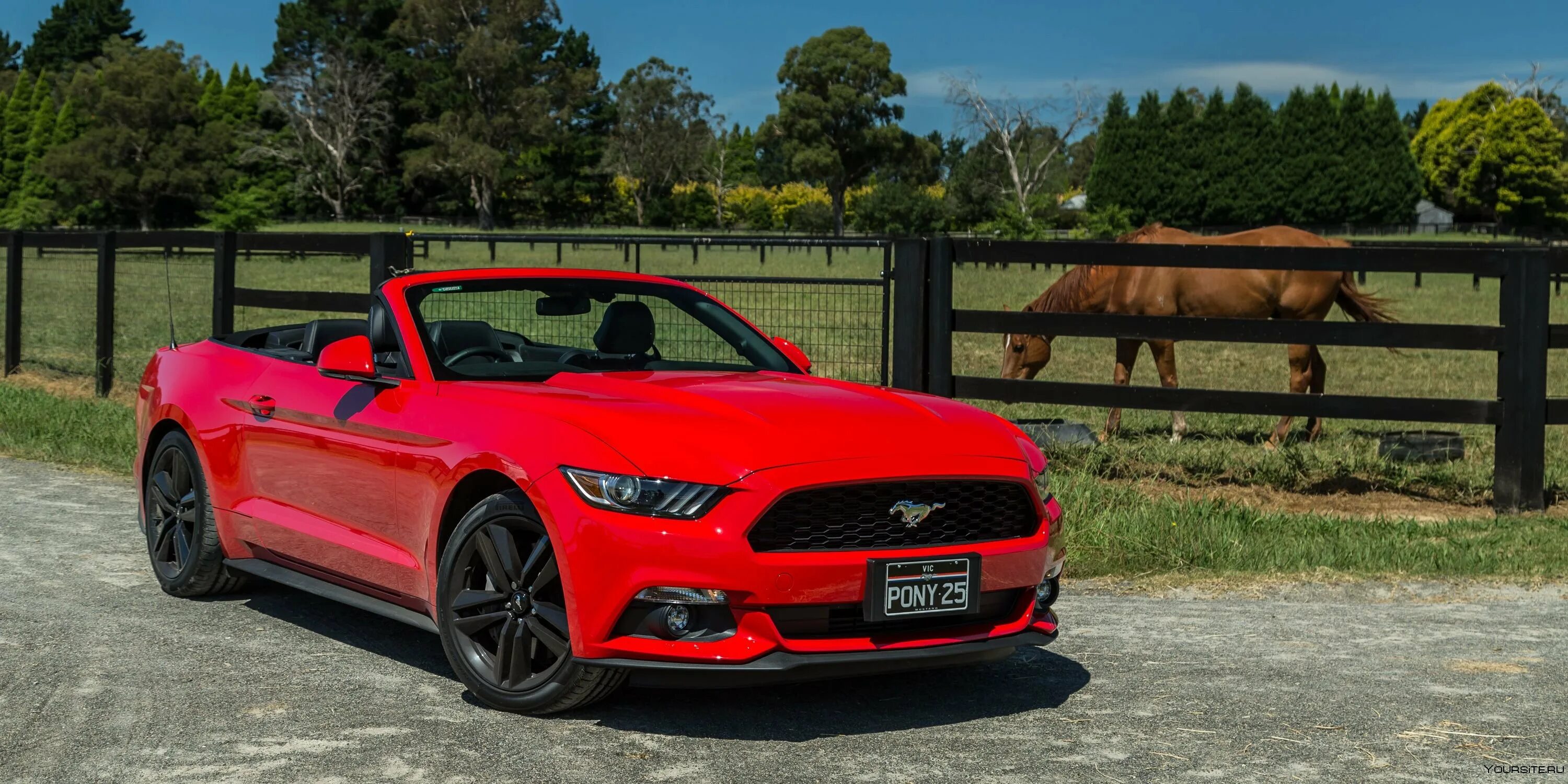 Форд Мустанг кабриолет 2021. Форд Мустанг кабриолет 2020. Ford Mustang 2016 кабриолет. Форд Мустанг кабриолет красный 2017