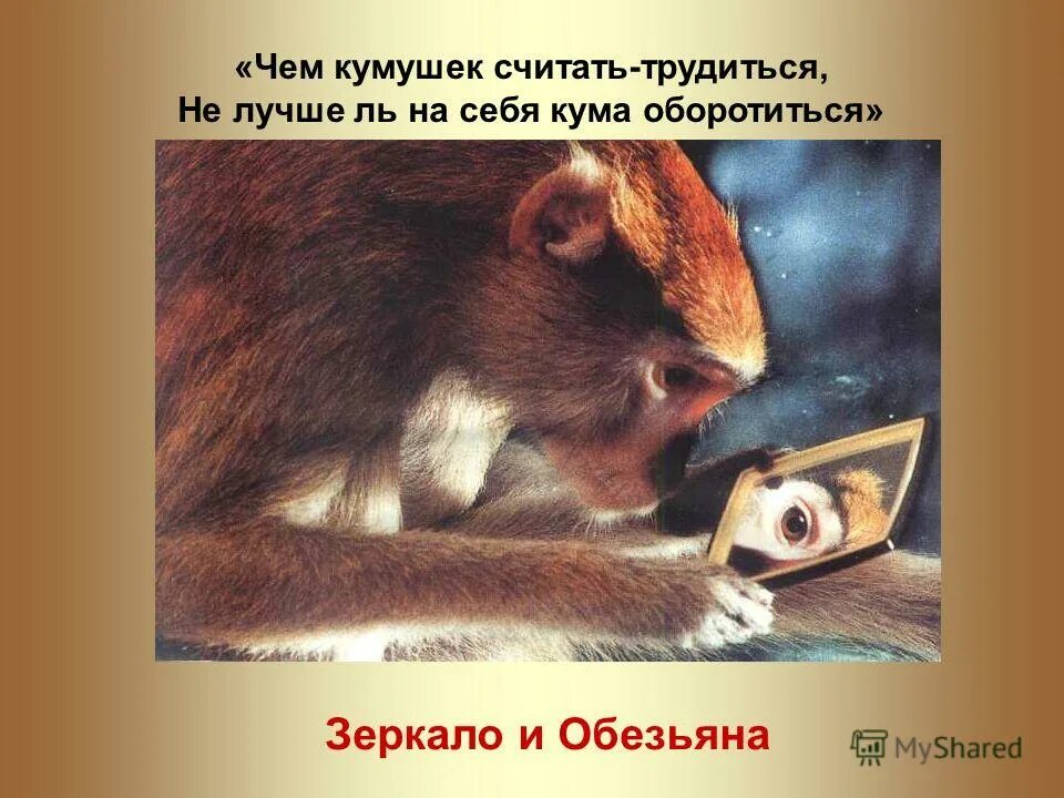 Кума оборотиться. Чем кумушек считать трудиться не лучше на себя кума оборотиться. крылов не лучше ль на себя кума оборотиться. зеркало и обезьяна. выражение зеркало и обезьяна.