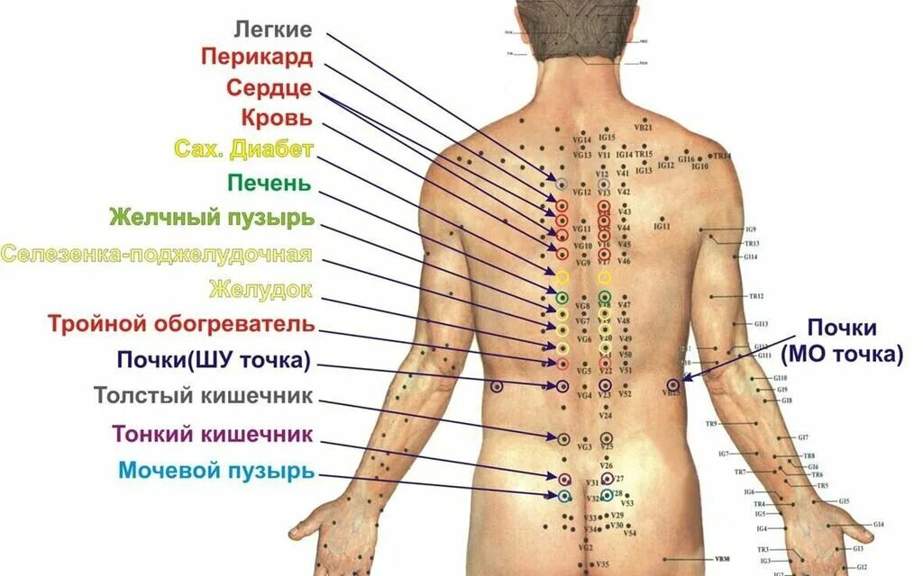 Точки на пояснице. Массаж акупунктурный точки спины. Точки на спине человека. Точки на спине для массажа. Акупунктурные ТОЧКИОЧКИ.