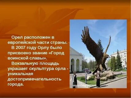 Год российского орла