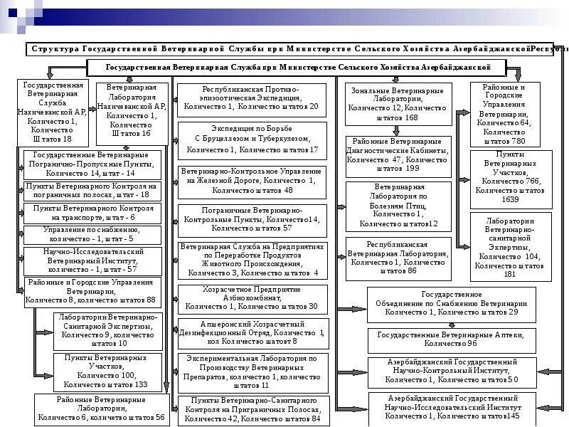 Структура государственной ветеринарной службы РФ. Структура ветеринарной службы схема. Схема организации государственной ветеринарной службы в районе. Организационная структура ветеринарной службы. Государственные учреждения ветеринарной станции