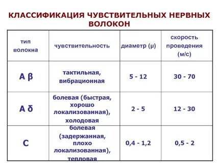 Скорость проведения