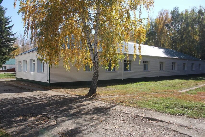 погода в алтайском крае. село плешково алтайский край зональный район. карта волчиха рубцовск. метеосводка по алтайскому краю. администрация зонального района алтайского края.