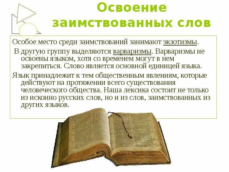 Этапы освоения заимствованных слов практическая работа. Этапы освоения заимствованных слов практическая работа. Графическое освоение заимствованных слов. Освоенные заимствованные слова. Этапы освоения заимствованных слов практическая работа.
