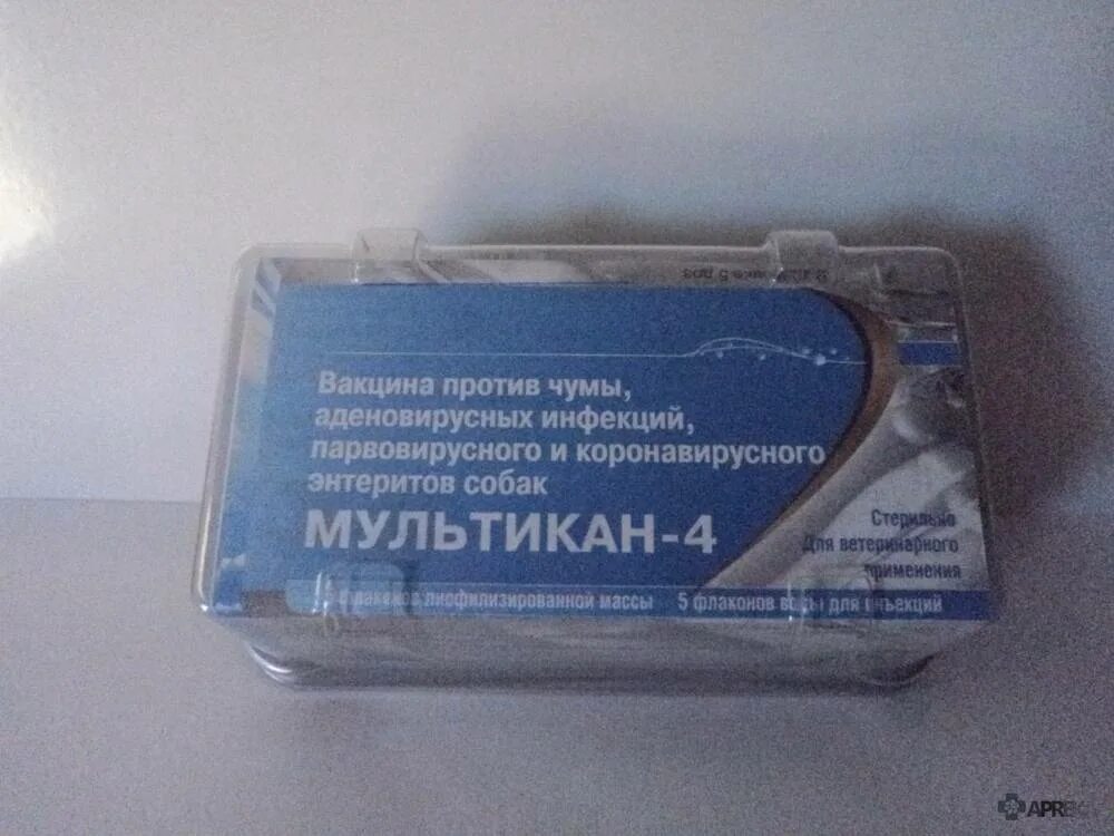 Российские вакцины для собак. Вакцинация собак мультикан 8. Вакцина для животных мультикан 4. Мультикан-6 вакцина для собак. Мультикан-4 вакцина для собак.