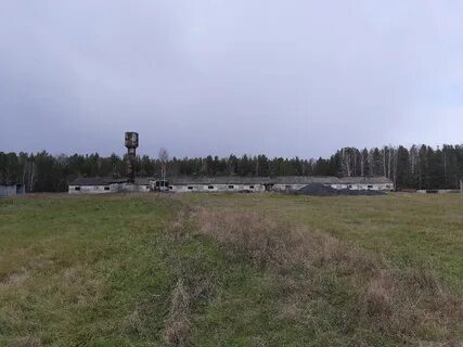 Свердловская область поселок лосино