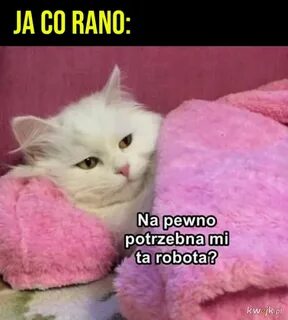Опять утро картинки смешные