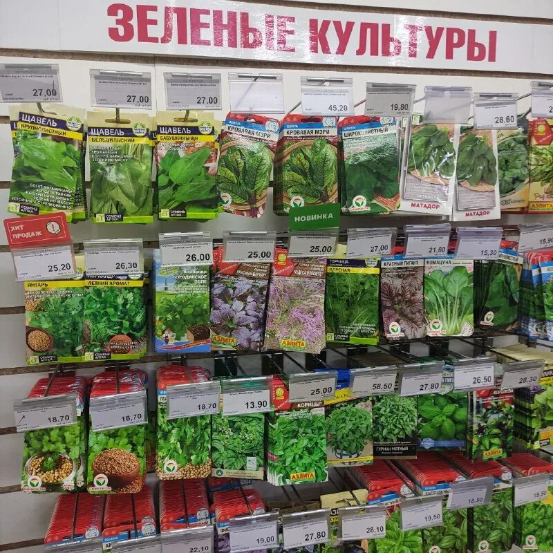 садовый центр новокузнецк. торговый центр на садовой в новокузнецке. селекция магазин новокузнецкая. нокса садовый центр. название магазина для сада и огорода.