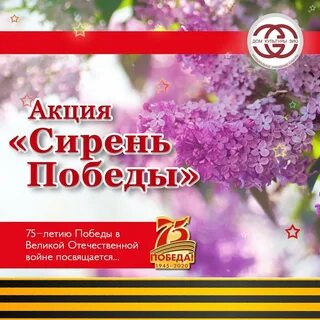 Сирень 9 мая