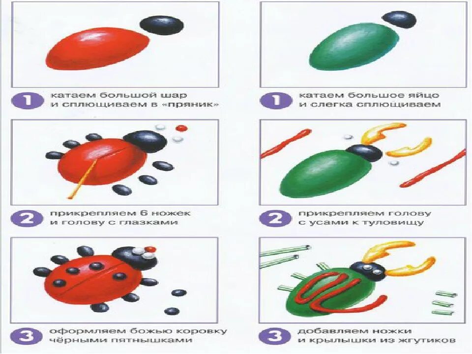 Лепка насекомые средняя группа. Лепка из пластилина для дошкольников. Лепим с дошкольниками из пластилина. Лепка в средней группе. Схемы лепки для дошкольников.