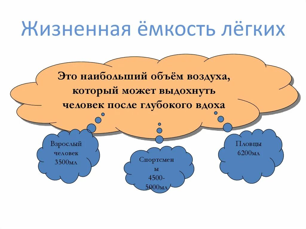 Жизненная емкость складывается из