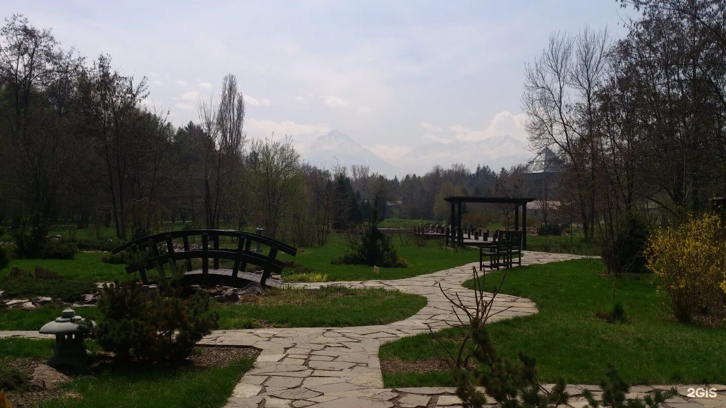 Сад рк. Алматы детский сад. Ботанический сад петропавловск. Сад рк. Сад рк.