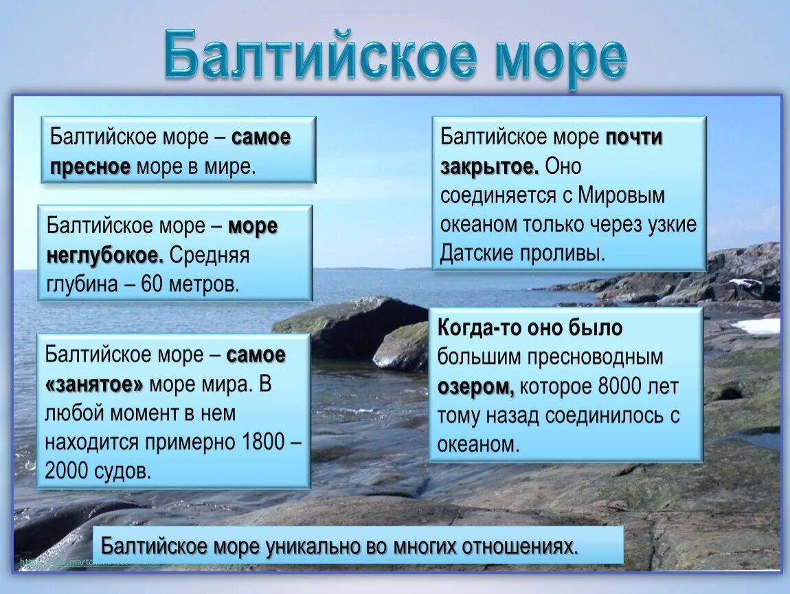 Какие воды самые соленые. Балтийское море самое. Балтийское море пресное. Балтийское море вода. Самое пресное море.