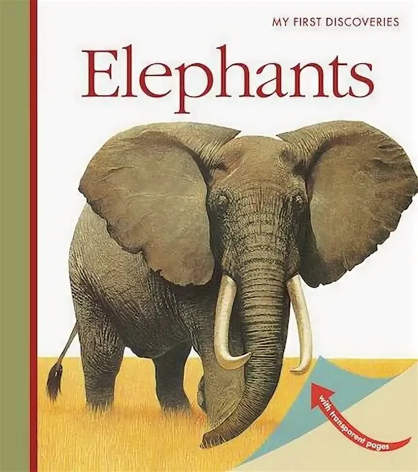 Discovery слоны. Слон на обложке тетради 2000 годов. MACLAINE James "Elephants". Children book about Elephant Yellow.