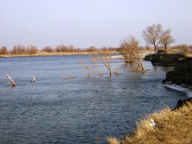 Озеро ильмень рыбалка. Белый Ильмень Астрахань. Ильмень Бунтур Астраханская область. Белый Ильмень Астрахань река. Ильмень Власов Астраханская область.