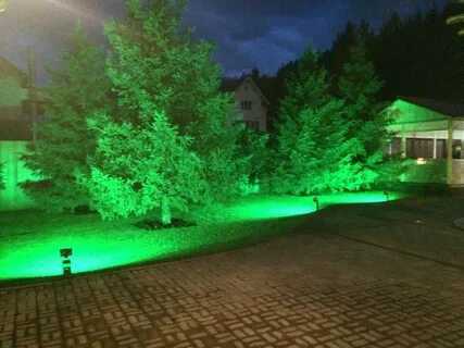 Зеленый свет в саду