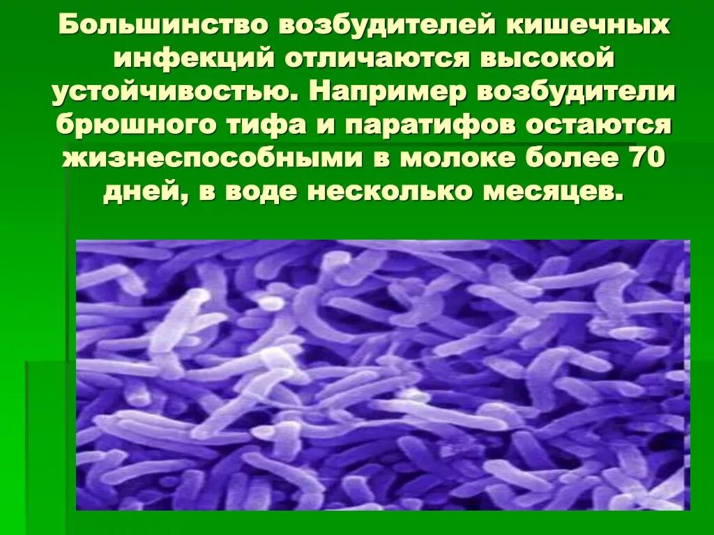 Природа возбудителей инфекций. Возбудители желудочно-кишечных инфекций. Возбудители кишечных инфекций-дизентерия. Возбудители вирусных кишечных инфекций. Возбудители бактериальных кишечных инфекций.