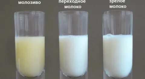 Мужской род молоко
