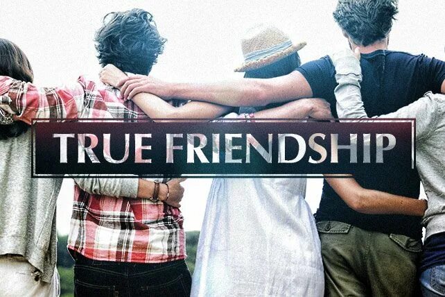 Your true friend. True friends. True Friendship is. A true true friend. True friend text.