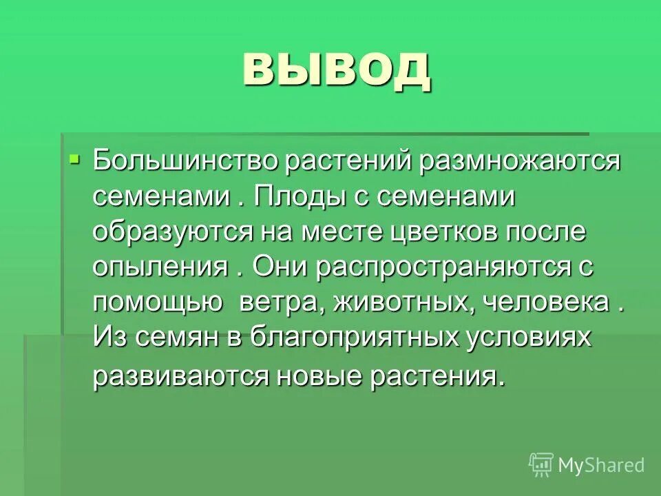 Семенами размножается растения имеющие