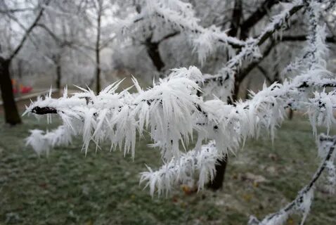 Влажная зима это